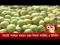 Download Lagu Toxic carbide and ethylene are used to ripen tomatoes News | Ekattor TV