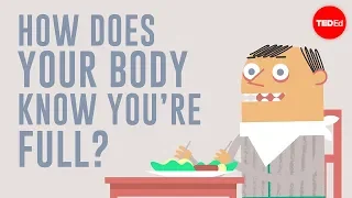 Download How does your body know you're full - Hilary Coller MP3