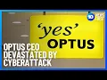 Optus CEO Devastated By Data Breach 10 News First