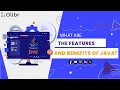 WHAT ARE THE FEATURES AND BENEFITS OF JAVA