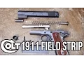 Colt 1911 Field Strip