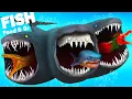 Download Lagu 3 HEADED BLOOP vs PREHISTORIC PROGNATHADON | Feed \u0026 Grow Fish