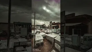 اي واله عذب كلبي الوداع 