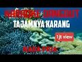 Download Lagu Karaoke Dangdut-Tajamnya Karang || Nada Pria