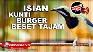  1 isian kunti gereja tarung tajam melengking cucak cungkok gacor isian