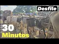 Download Lagu Desfile dos CARROS DE BOI EM TRINDADE GOIÁS 2024 | Completo