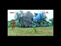 Download Lagu Salah sasaran tendangan garuda