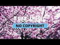 Download Lagu Ikson - Paradise (Vlog No Copyright Music)
