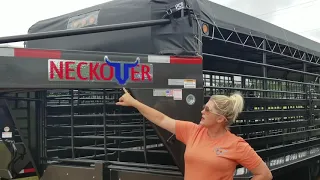 Neckover Vin Numbers Explained 