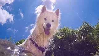 Bull Creek Austin TX