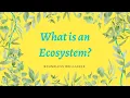 What is an Ecosystem Explaining Key Topics in STEM for Kids