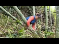Download Lagu The girl who built the bamboo house alone - Daily Life Thuy