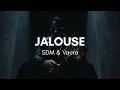 SDM & VACRA - JALOUSE ( REMIX )