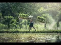 Download Lagu 🌙Relaxing music[sundanise] which has many benefits for your health