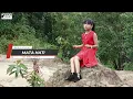 Lagu Mata hati voc hafifa| Berlinstudio 
