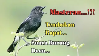 Download MASTERAN.... TEMBAKAN TELER,RAPAT SUARA BURUNG DECU MINI..... MP3