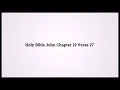 Holy Bible John 19:27