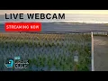 Live Webcam Seaside Heights NJ