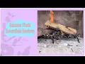 Fireplace Grate - Real User Test