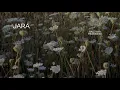 Fleet Foxes - "Jara" (Lyric Video)