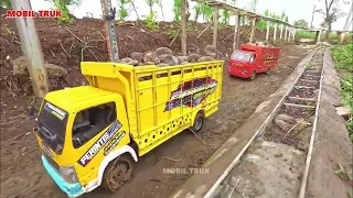 Mobil Truk Oleng RC Muatan Berat lewati Jalan Banjir dan Nanjak di Perkampungan Jatuh Terguling