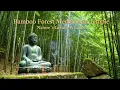 Lagu Find Deep Peace Through Soft Harmonics – Buddhist Harmony Music