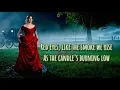 Download Lagu Hailee Steinfeld- Afterlife Lyrics (Dickinson)