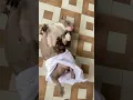 Download Lagu Lungi Dance by dog 🐶 💃🏻 🕺🏻😂 #lungidance #yoyohoneysingh #dance #dog