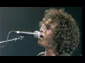 Andrés Calamaro - El Salmón. Made in Argentina. Directo 2005