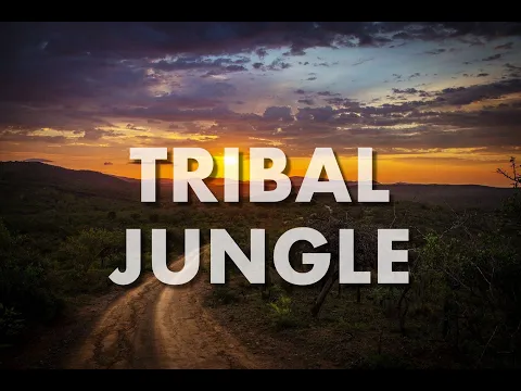 Download MP3 ROYALTY FREE Tribal Jungle Nature Africa Ethnic Instrumental Background Music For Videos