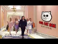 Download Lagu Money Loves Me - Cool Cat Ash (Music Video)