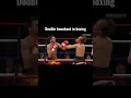 Download Lagu Best double knockout in  boxing