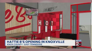 Hattie B s opening Knoxville TN hot chicken spot