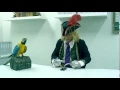 ALDImobile Austria - Pirate 2014