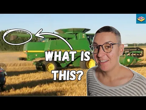 How To Harvest Wheat! - INTERMEDIATE ENGLISH | Comprehensible Input B1