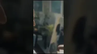 وعلى فين هنروح مسلم    دندنها