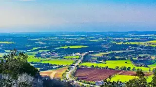 زعاله على وطن شانن ارياحه   دندنها
