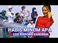 Download Lagu Sandrina - Habis Minum Apa (Live Perform)