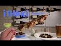 Great Greek Cuisine Ithaki in Peabody