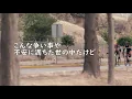 カバー121『東京VICTORY（ビクトリー）/サザンオールスターズ』歌詞付き 小杉大福