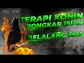 Download Lagu TERAPI KONIN BONGKAR ISIAN BELALANG MAS FULL (AUDIO JERNIH)