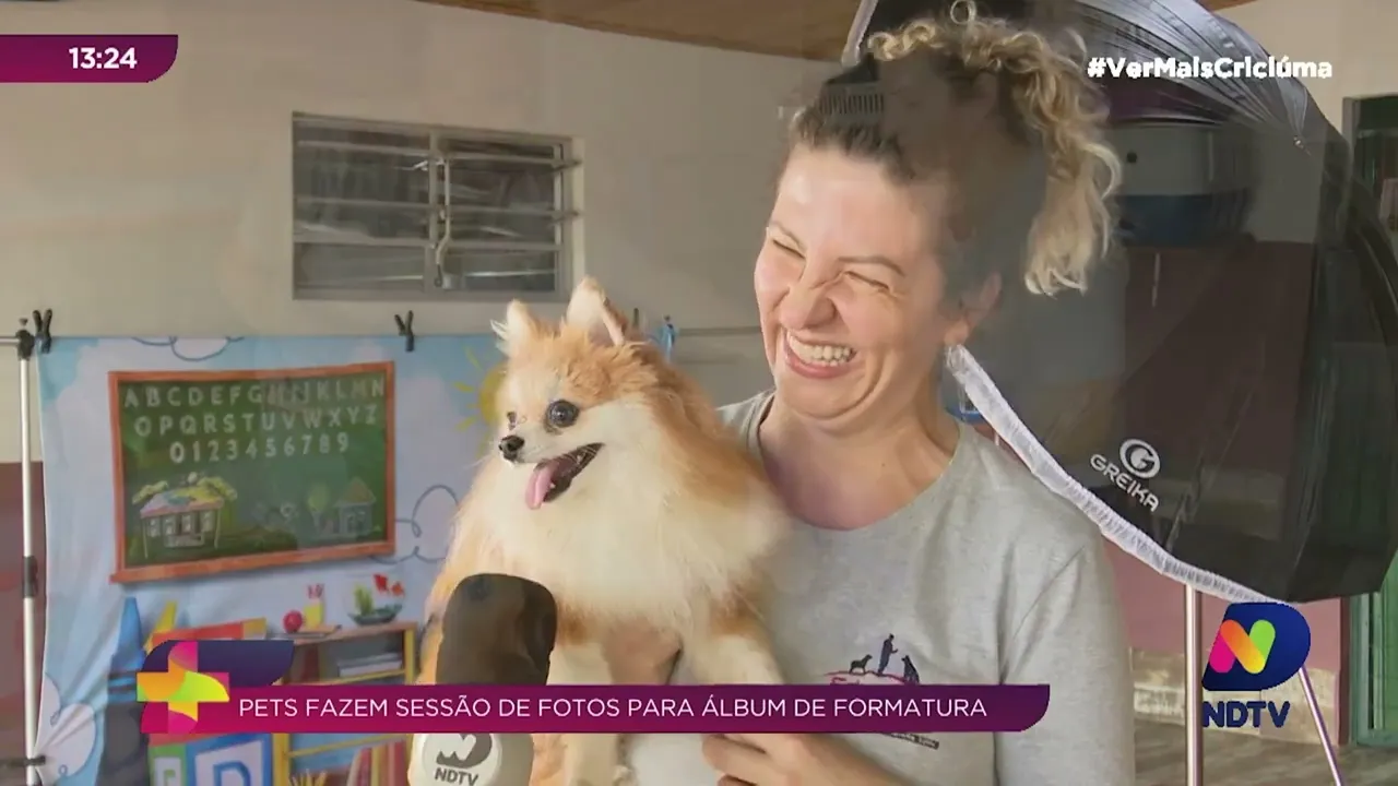 Cachorrinhos fazem sessão de fotos para álbum de formatura de "creche pet"