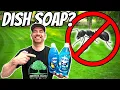 Can Soap and Water Safely ELIMINATE Ants in the Grass