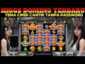 Tema Cewek Cantik‼️Higgs Domino Mod Apk Terbaru Rp \u0026 N Higgs Games Island Versi 2.55 Tanpa Pasword
