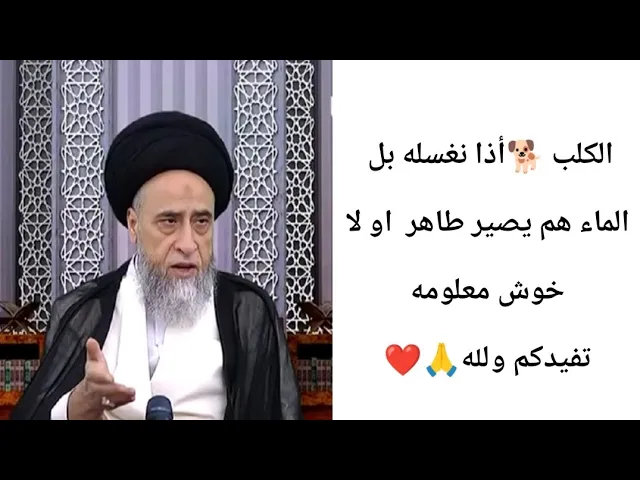 ⁣🐕الكلب أذا نغسله بل ماء هم يطهر.. 🤔🙏❤||ح3أحكام المطهرات ||سيد صباح شبر