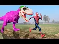 Lagu Homem Aranha vs Dinossauro Curinga 🕷🦖 | Desenho Animado Divertido para Crianças