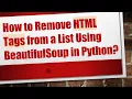 How to Remove HTML Tags from a List Using BeautifulSoup in Python
