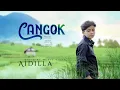 Download Lagu Aidilla - Cangok (Official Music Video) Talampau Akok
