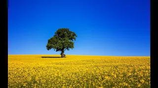 Вдалині за селом В гори прийди до мене 