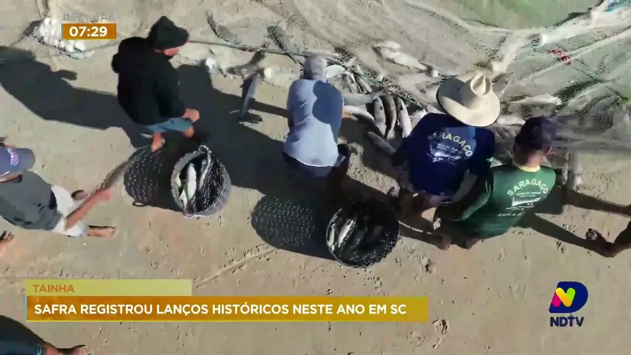 Pescadores catarinenses comemoram os lanços de tainha da última safra